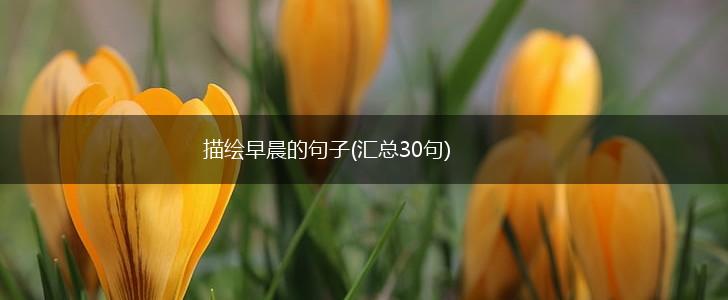 描绘早晨的句子(汇总30句),第1张