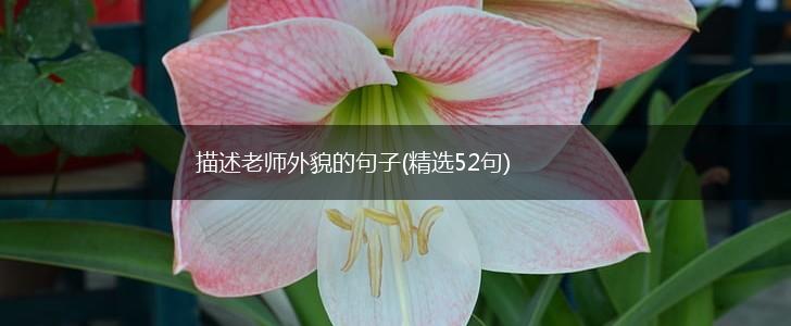 描述老师外貌的句子(精选52句),第1张