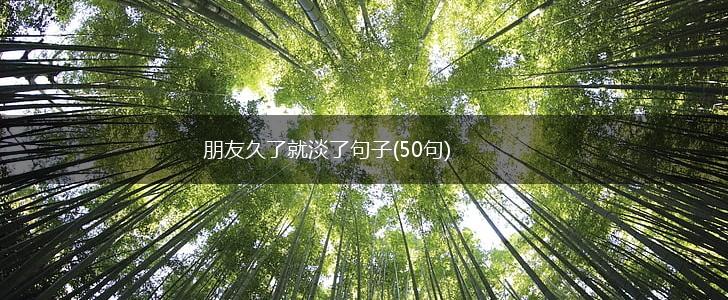朋友久了就淡了句子(50句),第1张