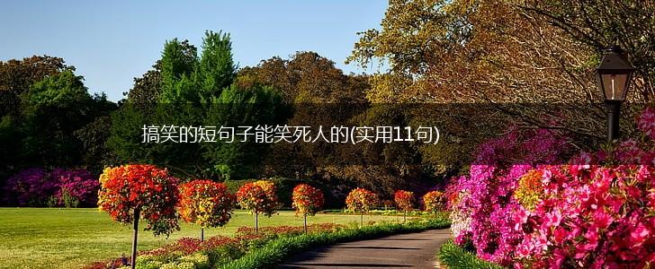 搞笑的短句子能笑死人的(实用11句),第1张