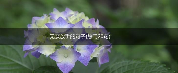 无奈放手的句子(热门20句),第1张