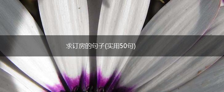 求订房的句子(实用50句),第1张