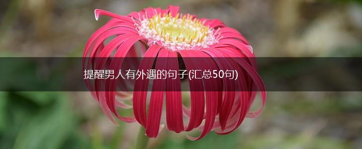 提醒男人有外遇的句子(汇总50句),第1张