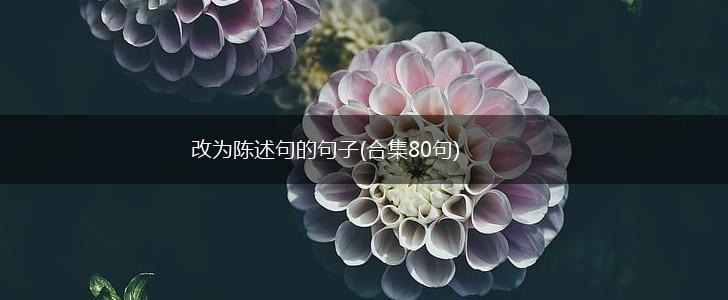 改为陈述句的句子(合集80句),第1张