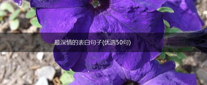 最深情的表白句子(优选50句),第1张