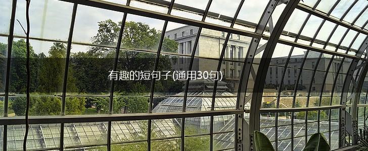 有趣的短句子(通用30句),第1张
