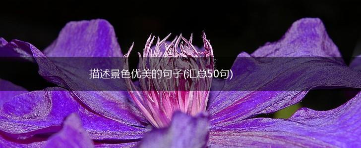 描述景色优美的句子(汇总50句),第1张