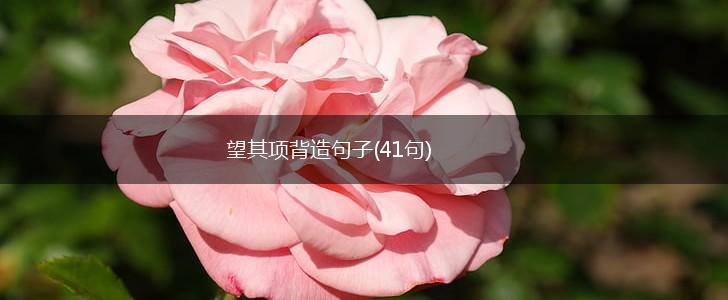望其项背造句子(41句),第1张