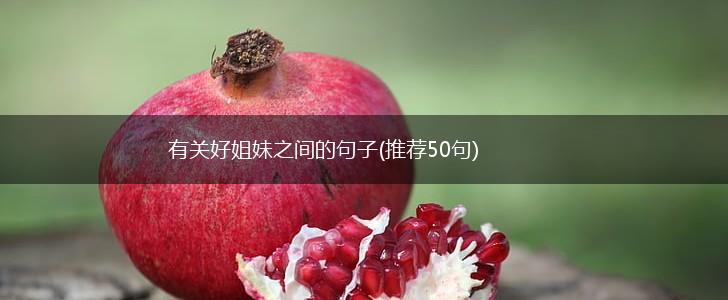 有关好姐妹之间的句子(推荐50句),第1张