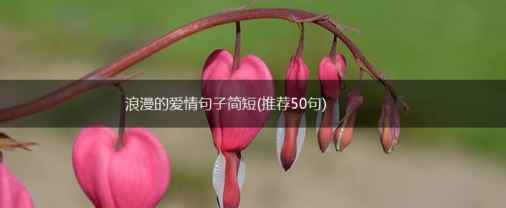 浪漫的爱情句子简短(推荐50句),第1张