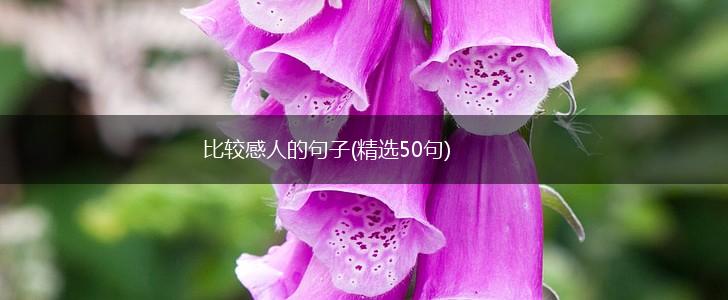 比较感人的句子(精选50句),第1张