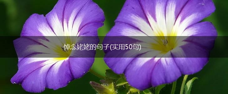悼念姥姥的句子(实用50句),第1张
