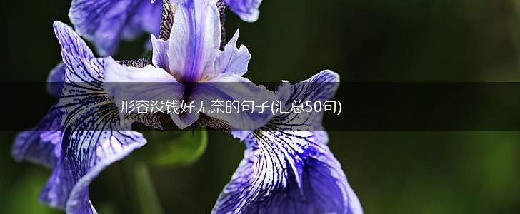 形容没钱好无奈的句子(汇总50句),第1张