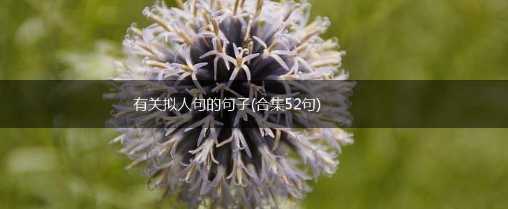 有关拟人句的句子(合集52句),第1张