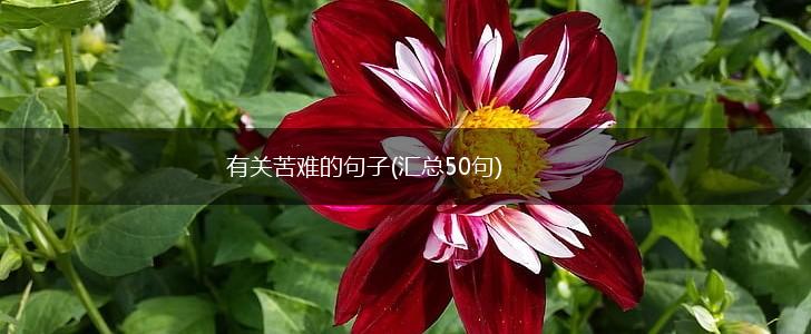有关苦难的句子(汇总50句),第1张