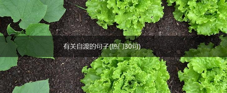 有关自渡的句子(热门30句),第1张