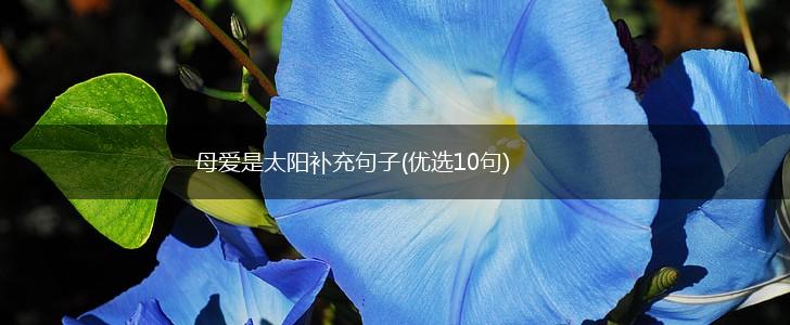 母爱是太阳补充句子(优选10句),第1张