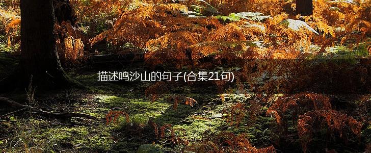 描述鸣沙山的句子(合集21句),第1张