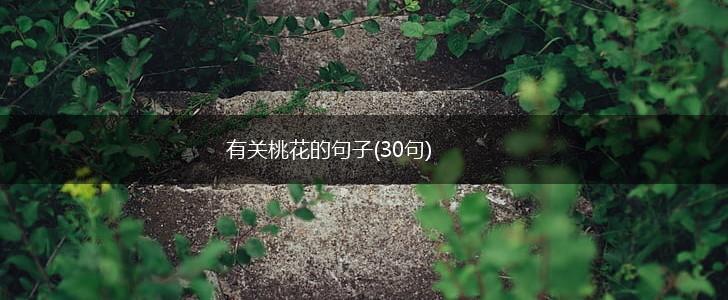 有关桃花的句子(30句),第1张