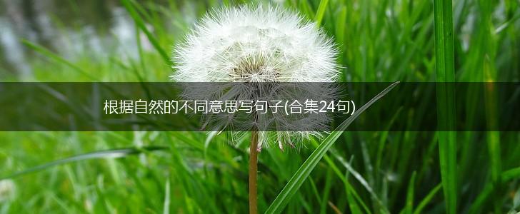 根据自然的不同意思写句子(合集24句),第1张