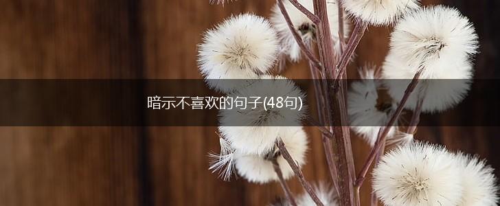 暗示不喜欢的句子(48句),第1张