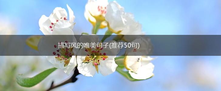 描写风的唯美句子(推荐50句),第1张