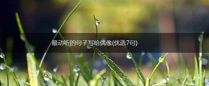 最动听的句子写给偶像(优选7句),第1张