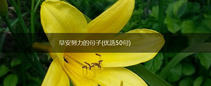 早安努力的句子(优选50句),第1张