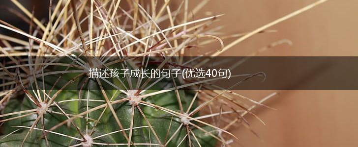 描述孩子成长的句子(优选40句),第1张