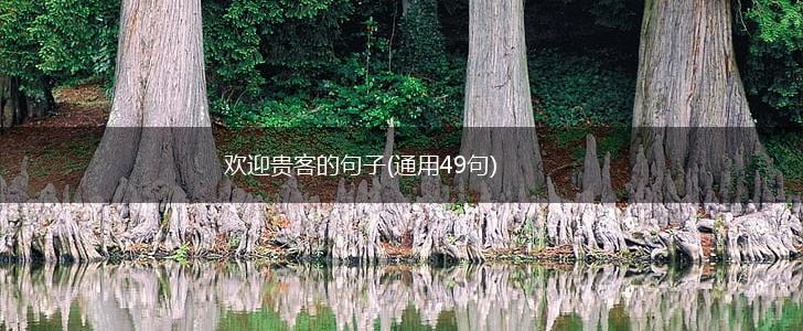 欢迎贵客的句子(通用49句),第1张