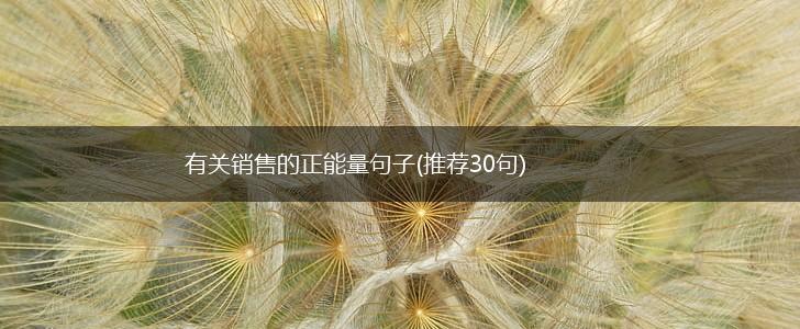 有关销售的正能量句子(推荐30句),第1张