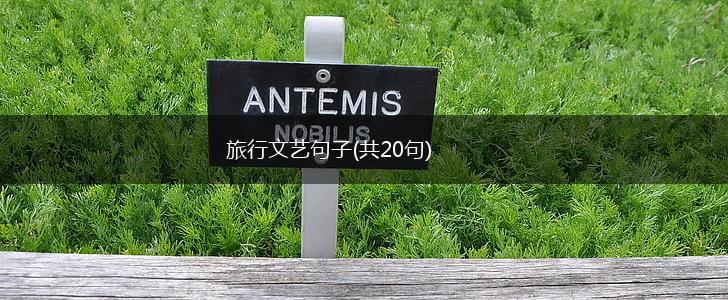 旅行文艺句子(共20句),第1张