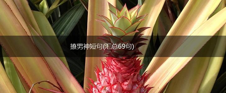 撩男神短句(汇总69句),第1张