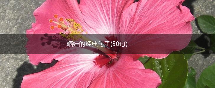 晒娃的经典句子(50句),第1张