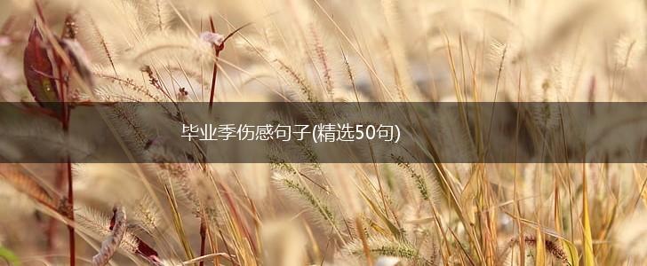 毕业季伤感句子(精选50句),第1张