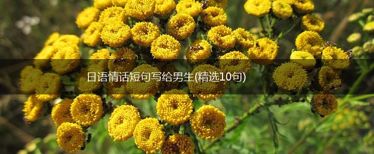 日语情话短句写给男生(精选10句),第1张