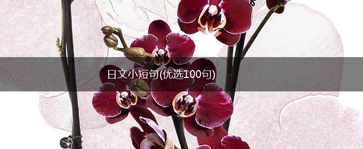 日文小短句(优选100句),第1张