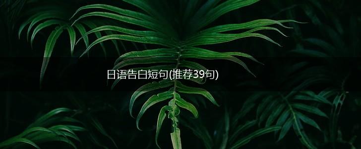 日语告白短句(推荐39句),第1张