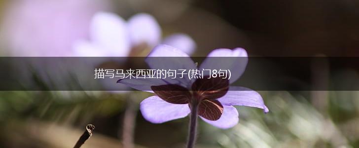 描写马来西亚的句子(热门8句),第1张