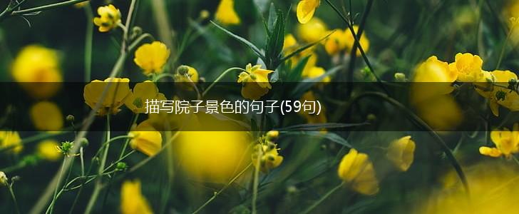 描写院子景色的句子(59句),第1张