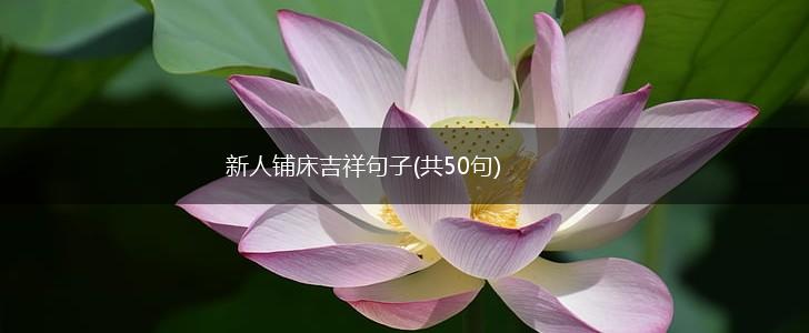 新人铺床吉祥句子(共50句),第1张