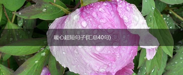 暖心超短句子(汇总40句),第1张