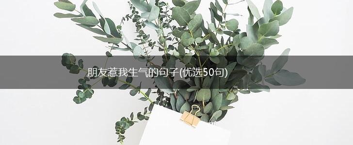 朋友惹我生气的句子(优选50句),第1张