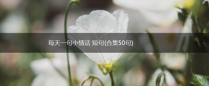 每天一句小情话 短句(合集50句),第1张