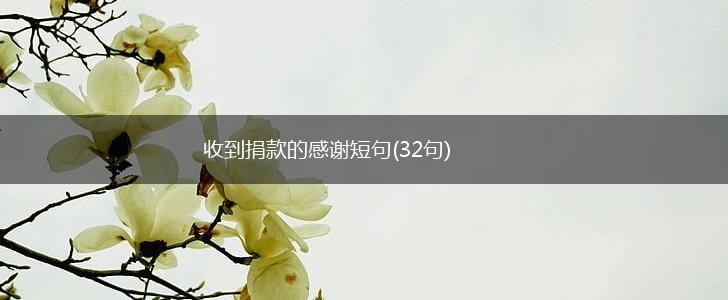 收到捐款的感谢短句(32句),第1张