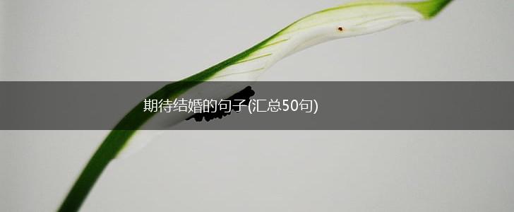 期待结婚的句子(汇总50句),第1张