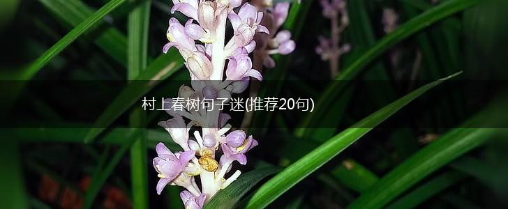 村上春树句子迷(推荐20句),第1张