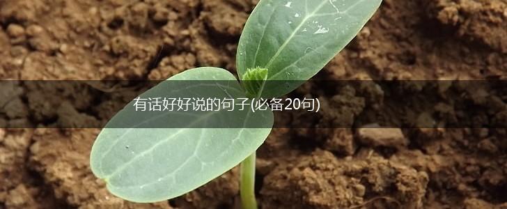 有话好好说的句子(必备20句),第1张