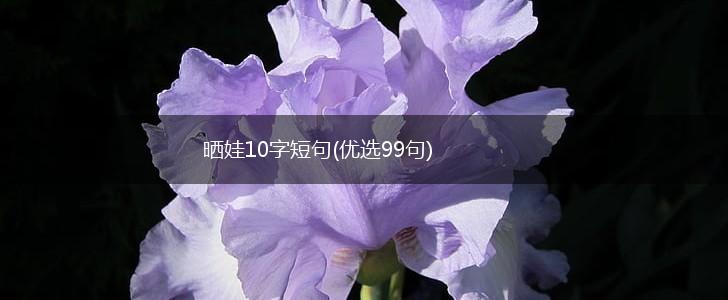 晒娃10字短句(优选99句),第1张