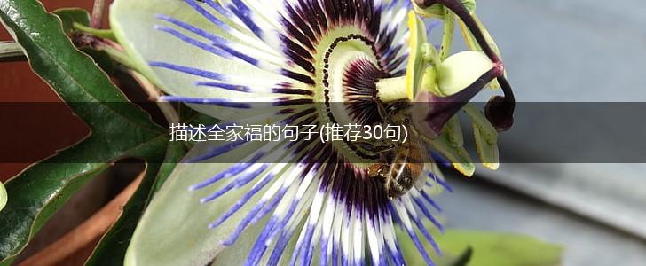 描述全家福的句子(推荐30句),第1张